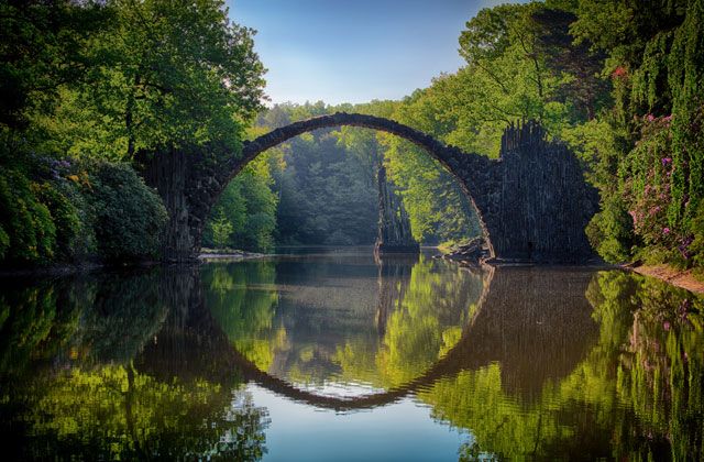 Quiet water and forest